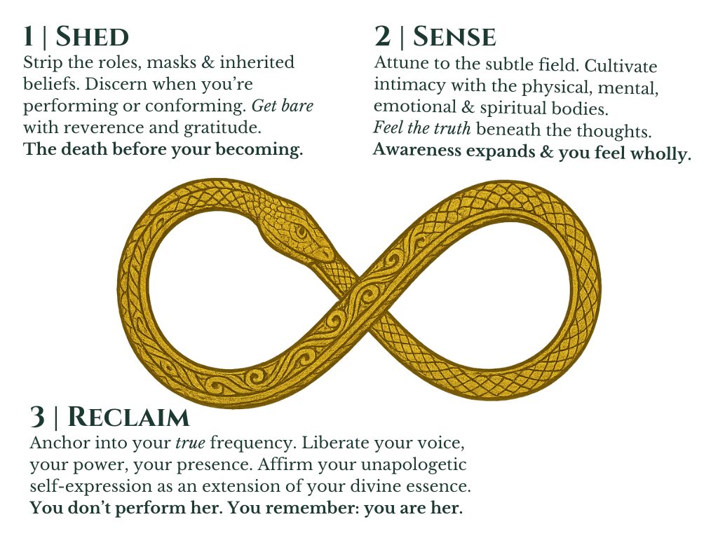 Ouroboros symbolizing the process of the embodied remembering: Shedding, Sensing, and Reclaiming.